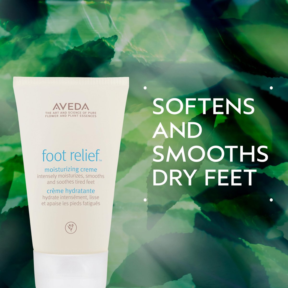 Aveda Foot Relief Moisturizing Creme – Exfoliates, Softens & Smooths Dry Feet with Jojoba, Peppermint, Tea Tree & Castor Oils, 4.2 oz Avelisse