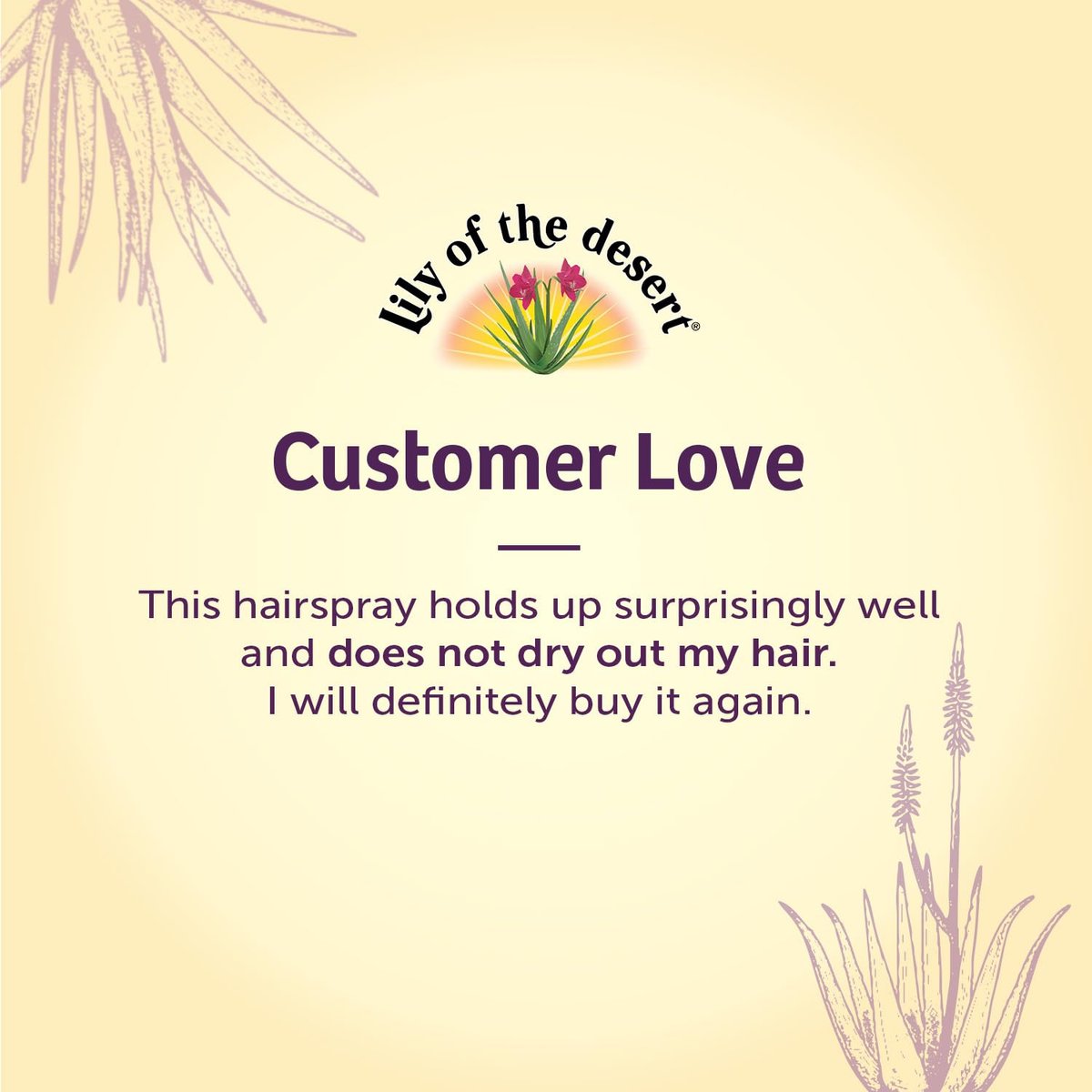 Lily Of The Desert Natural Hold Aloe Vera Hair Spray - Unscented, Alcohol-Free, Non-Aerosol (8 Fl Oz) - görsel 13