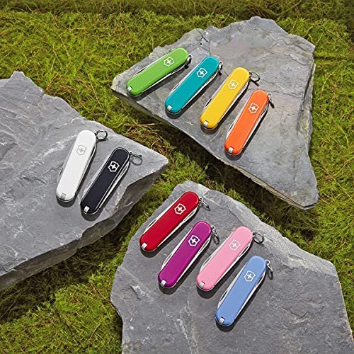 Victorinox Stainless Steel Tweezers, Pack of 6 – Precision Slanted Tweezers for Splinter Removal & Eyebrow Grooming - görsel 4