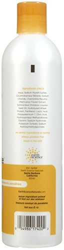 Earth Science Fragrance Free Shampoo for Sensitive Hair & Scalp - 12 oz Avelisse