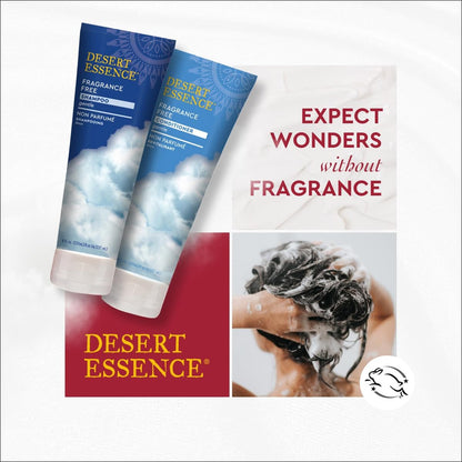 Desert Essence Fragrance Free Shampoo – Unscented Gentle Cleanser with Jojoba Oil, Green Tea & Comfrey – 8 fl oz – For Sensitive Scalps