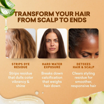Just Nutritive Apple Cider Vinegar Rinse Cleanser for Gray Hair - Clarifying Shampoo Removes Hard Water Buildup, Brassiness & Yellowing, Sulfate-Free, 8 oz Avelisse