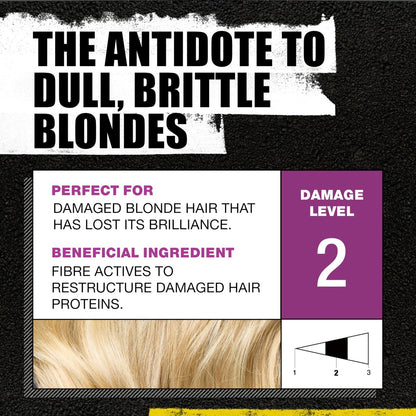 Bed Head by TIGI Dumb Blonde Restoring Shampoo and Conditioner Duo for Damaged Blonde Hair, 25.36 fl oz Avelisse