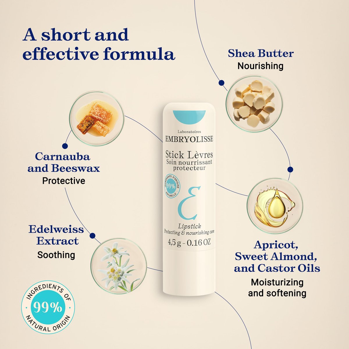 Embryolisse Protective Repair Lip Balm – Shea Butter Care for Chapped & Dry Lips, 0.16 oz Avelisse
