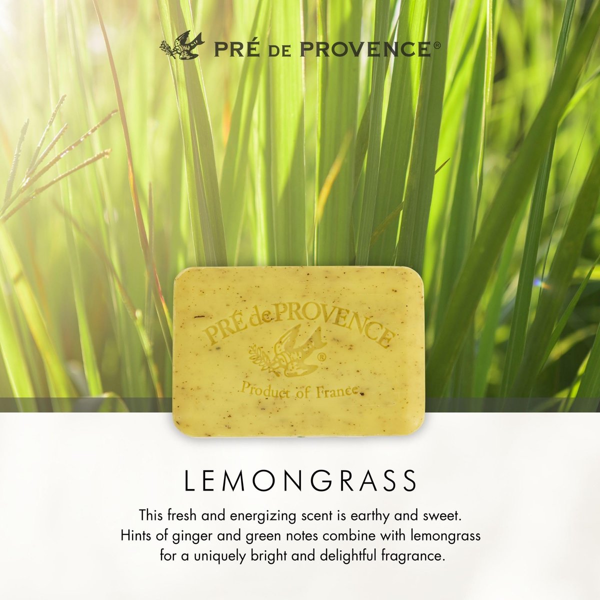 Pre de Provence Artisanal Soap Bar - Lemongrass, 8.8 oz - Enriched with Organic Shea Butter, Quad Milled for Rich Lather Avelisse