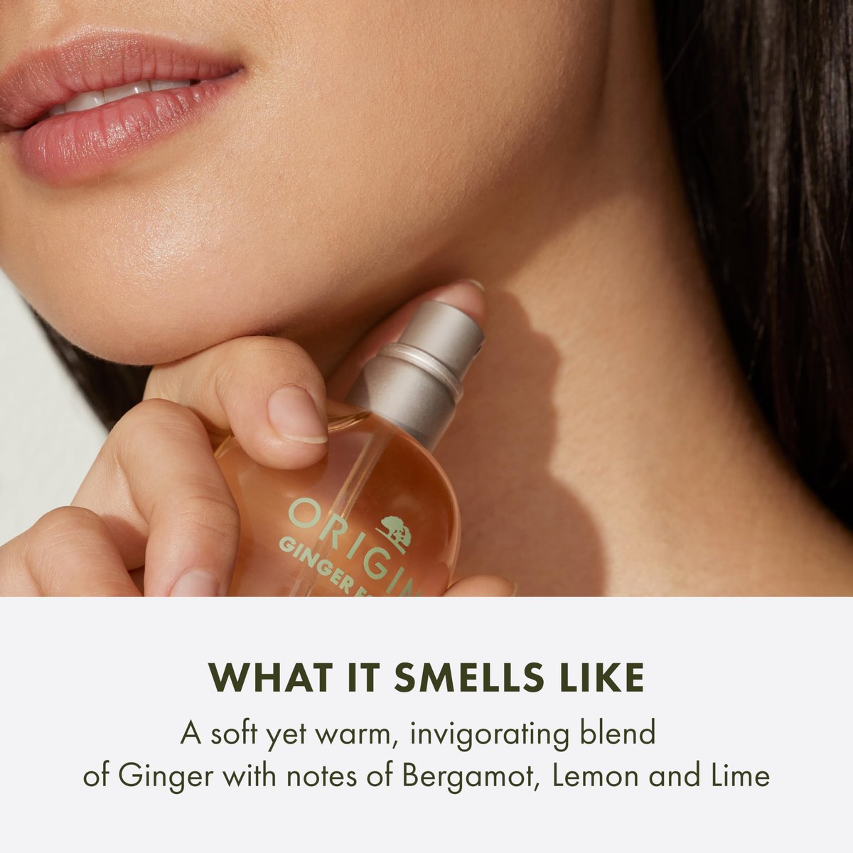 Origins Ginger Essence Perfume – 3.4 Fl Oz with Bergamot, Lemon & Lime Notes Avelisse