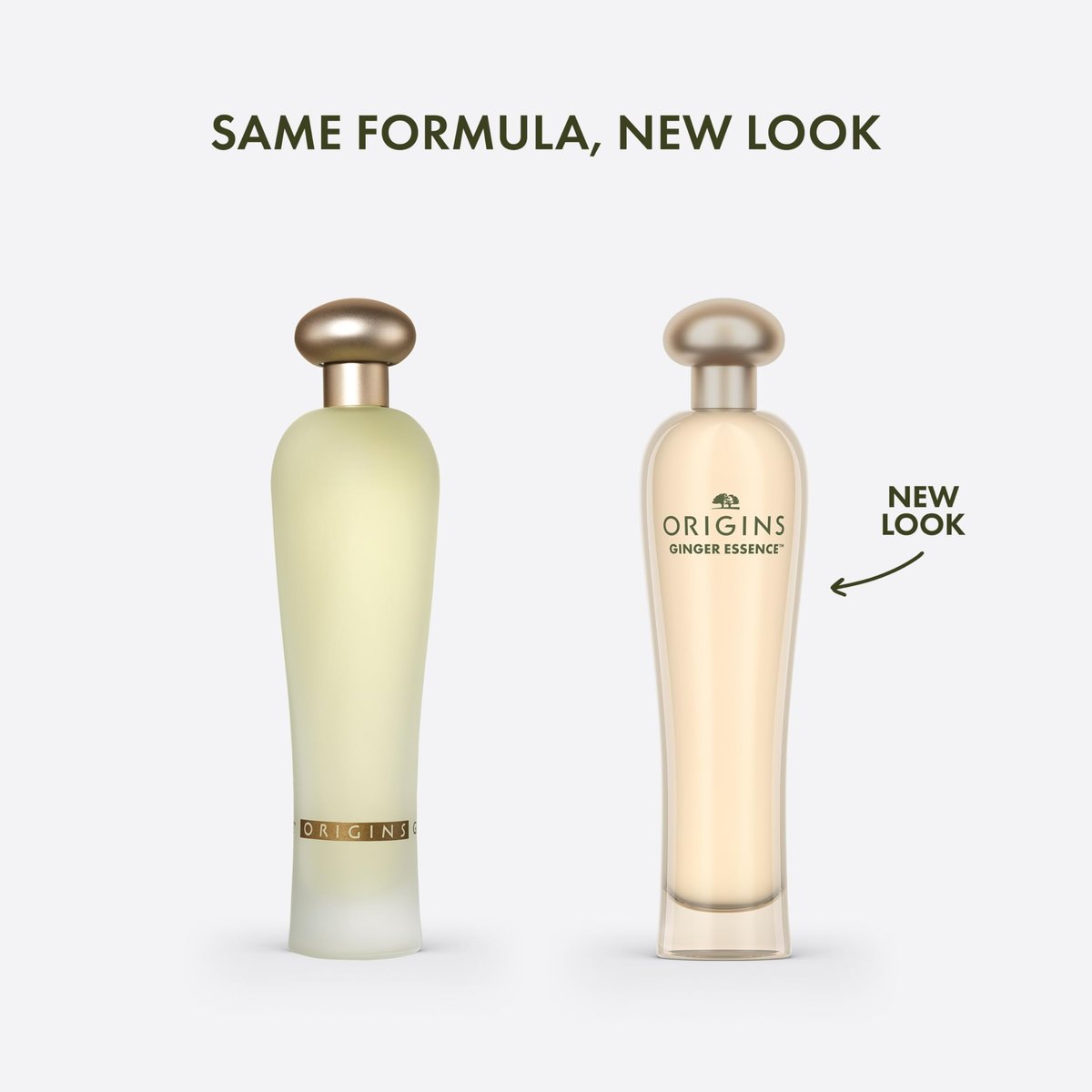 Origins Ginger Essence Perfume – 3.4 Fl Oz with Bergamot, Lemon & Lime Notes Avelisse