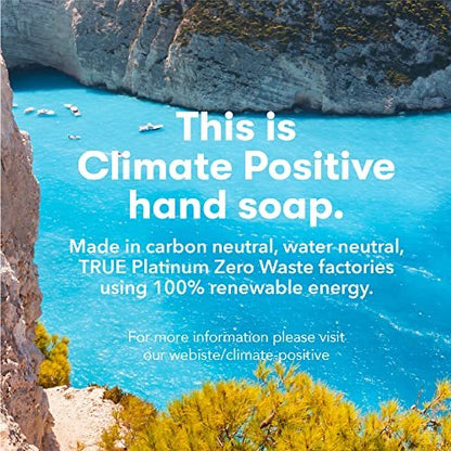 ECOS Hypoallergenic Hand Soap - All Natural pH-Balanced Handwash with Vitamin E - Lavender - 17 oz (6-Pack) Avelisse