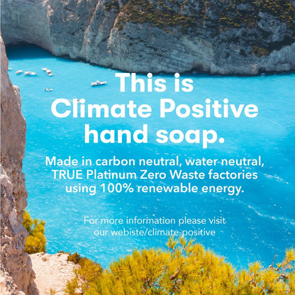 ECOS Hypoallergenic Hand Soap - All Natural pH-Balanced Handwash with Vitamin E - Lavender - 17 oz (6-Pack) Avelisse