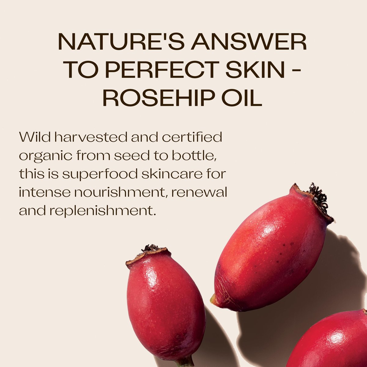 Trilogy Certified Organic Rosehip Oil – Intensive Nourishment for Scars, Stretch Marks, Fine Lines & Wrinkles, 0.68 fl oz Avelisse