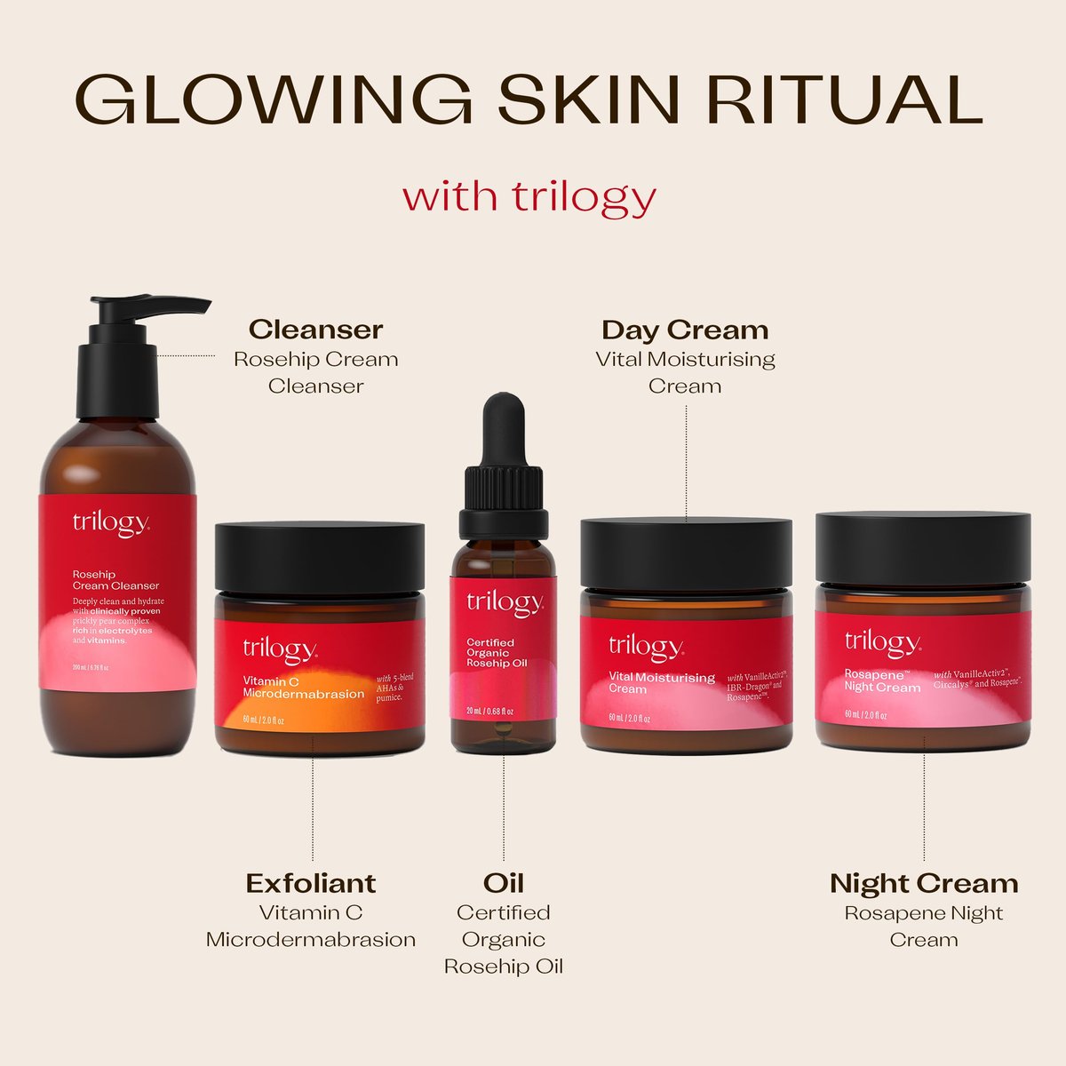 Trilogy Certified Organic Rosehip Oil – Intensive Nourishment for Scars, Stretch Marks, Fine Lines & Wrinkles, 0.68 fl oz Avelisse