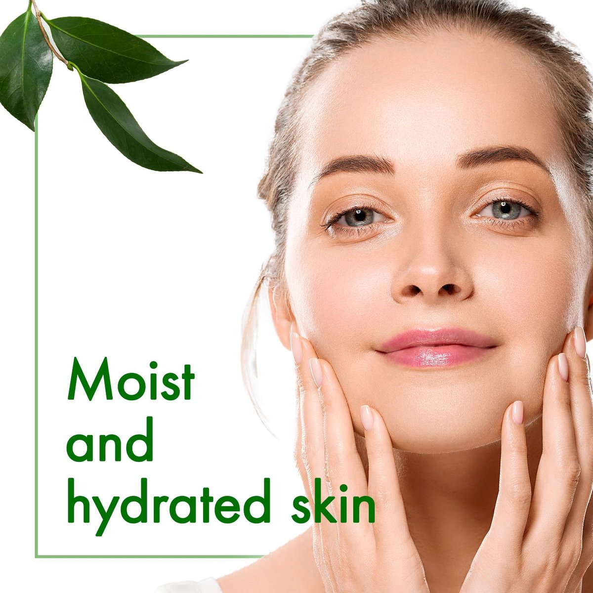 Oshima Tsubaki 100% Pure Camellia Seed Oil - Moisturizing Hair, Face, Skin & Nails - 2.03 fl oz (60ml) Avelisse