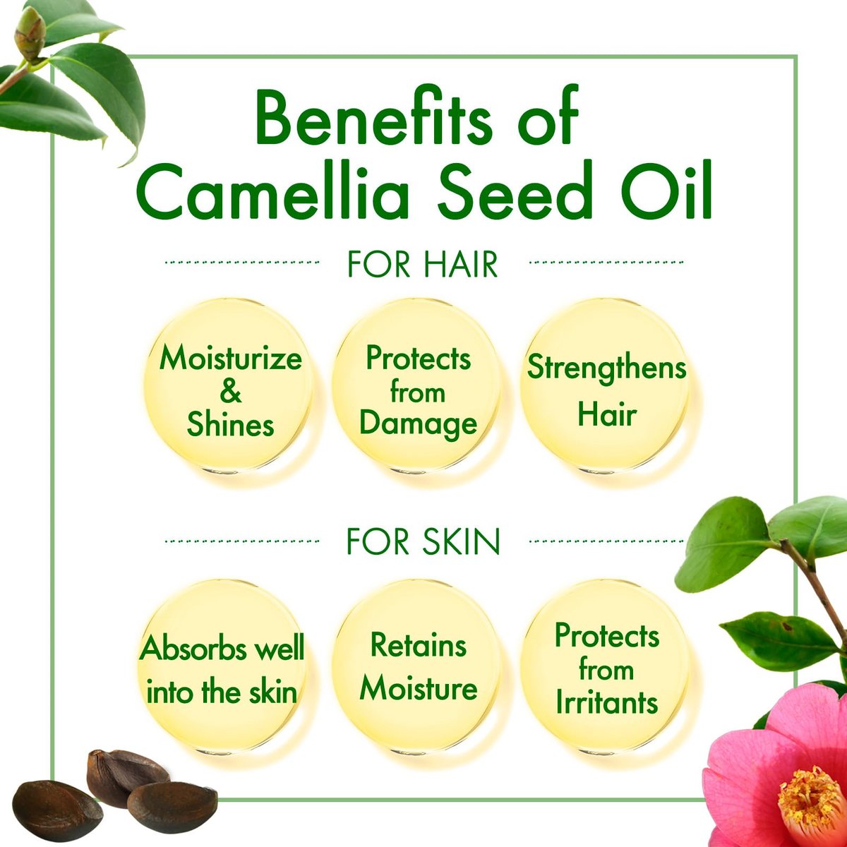Oshima Tsubaki 100% Pure Camellia Seed Oil - Moisturizing Hair, Face, Skin & Nails - 2.03 fl oz (60ml) Avelisse