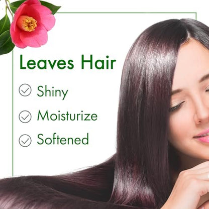 Oshima Tsubaki 100% Pure Camellia Seed Oil - Moisturizing Hair, Face, Skin & Nails - 2.03 fl oz (60ml) Avelisse