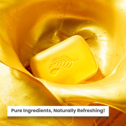 Melaleuca Gold Bar Soap - 4.8 oz, Natural Cleansing for Healthy Skin Avelisse