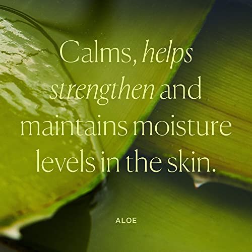 Well People Dewy Juice Hydrating Aloe Essence - Rose Water Toner for Refreshing & Soothing Skin, Vegan & Cruelty-Free Avelisse