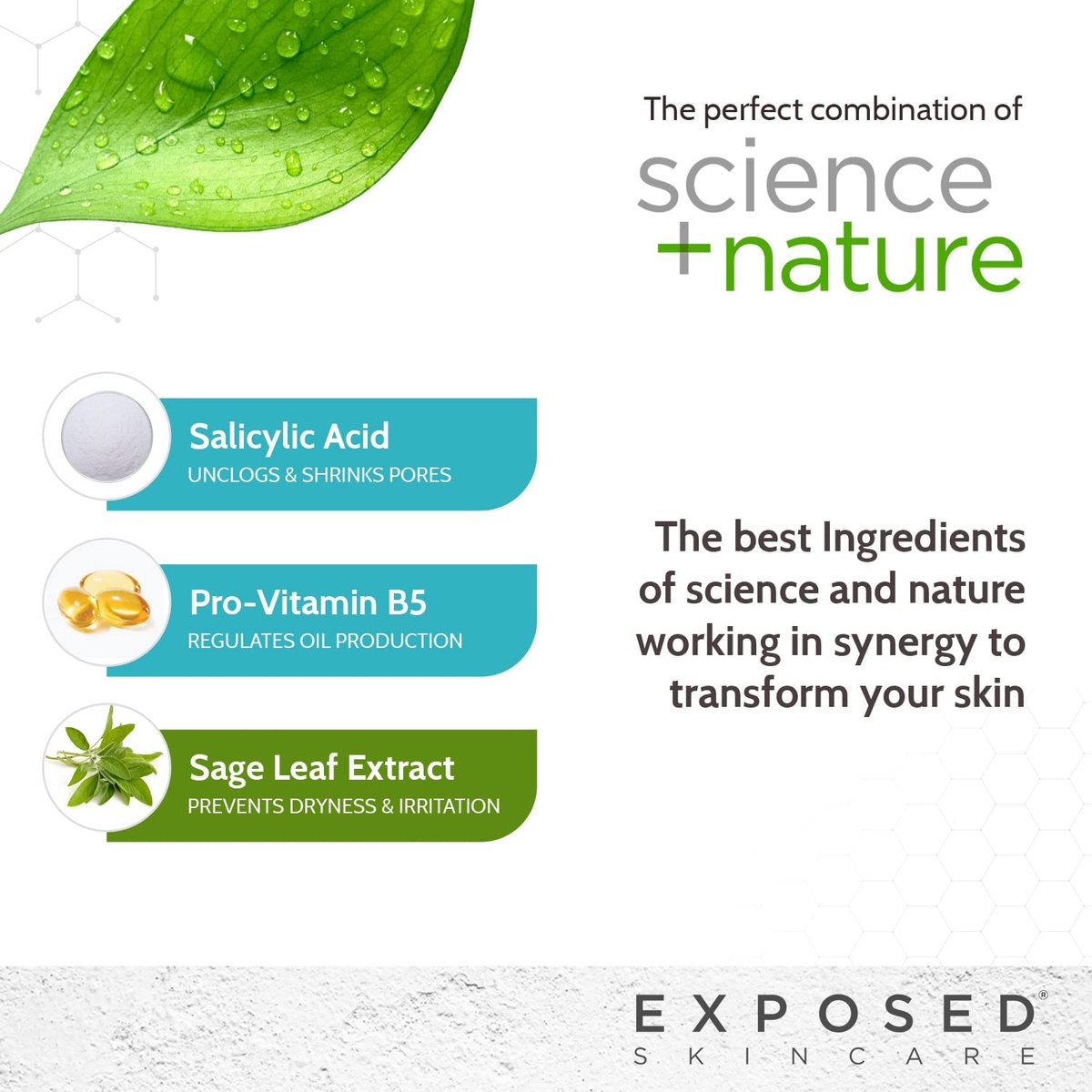 Exposed Skin Care Acne Facial Cleanser – Gentle Daily Face Wash with 0.5% Salicylic Acid for Sensitive & Acne-Prone Skin, Breakouts, Blackheads & Excess Oil – Natural, Non-Toxic & Cruelty Free (4 Fl Oz) Avelisse