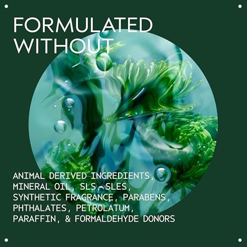 Aveda Men Pure-Formance Shampoo | Daily Lightweight Formula for Men’s Hair | Cleanses and Refreshes Hair and Scalp | 96% Naturally Derived, 10.1 Fl Oz Avelisse