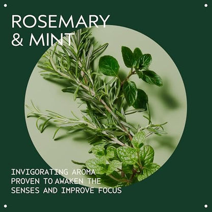 Aveda Rosemary Mint Bath Bar Soap | Invigorating Aroma of Certified Organic Peppermint & Rosemary Avelisse