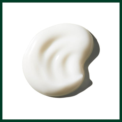 Aveda Rosemary Mint Body Lotion – Lightweight Cooling Moisturizer with Menthol, Organic Peppermint & Rosemary, 6.7 fl oz Avelisse