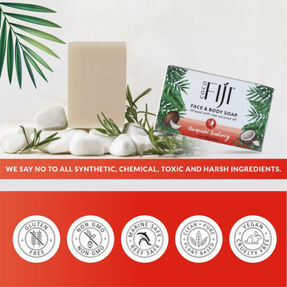Organic Fiji Coco Fiji Soap Bar for Face and Body - Infused with Organic Coconut Oil, Awapuhi Seaberry, Essential Oil - Natural Moisturizing & Pore Purifying Soap, 7 oz, Pack of 2
