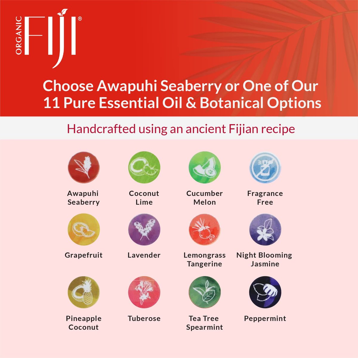 Organic Fiji Coco Fiji Soap Bar for Face and Body - Infused with Organic Coconut Oil, Awapuhi Seaberry, Essential Oil - Natural Moisturizing & Pore Purifying Soap, 7 oz, Pack of 2 - görsel 15