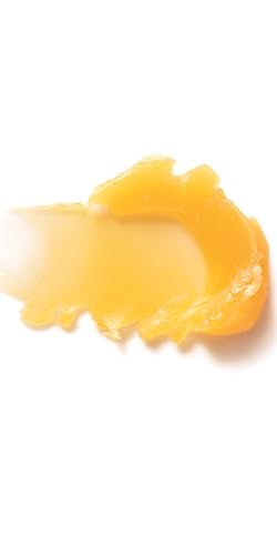 Dr. Hauschka Lip Care Stick – Nourishing Natural Lip Balm, 0.17 oz