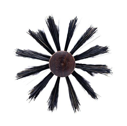 Spornette Italian Rounder Boar Bristle Round Hair Brush – Large 3-Inch Wooden Brush for Blow Drying, Styling & Volumizing for Women & Men Avelisse