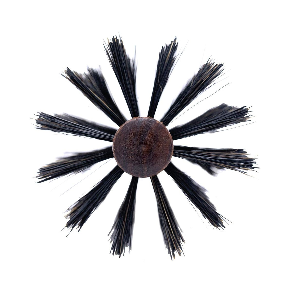 Spornette Italian Rounder Boar Bristle Round Hair Brush – Large 3-Inch Wooden Brush for Blow Drying, Styling & Volumizing for Women & Men Avelisse