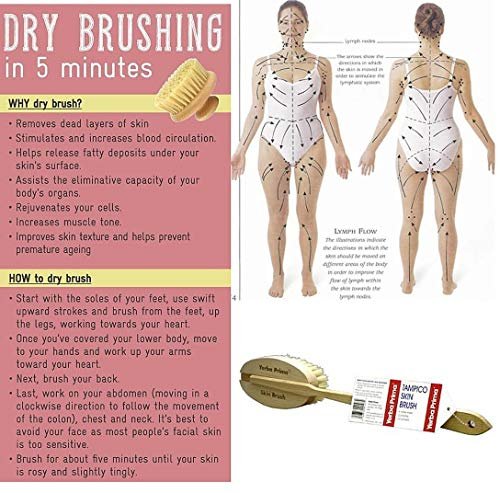 Yerba Prima Tampico Skin Brush for Exfoliation, Dry Brushing, and Blood Circulation with Natural Fiber Bristles and an All-Natural Maple Wood Handle - 1 Brush Avelisse