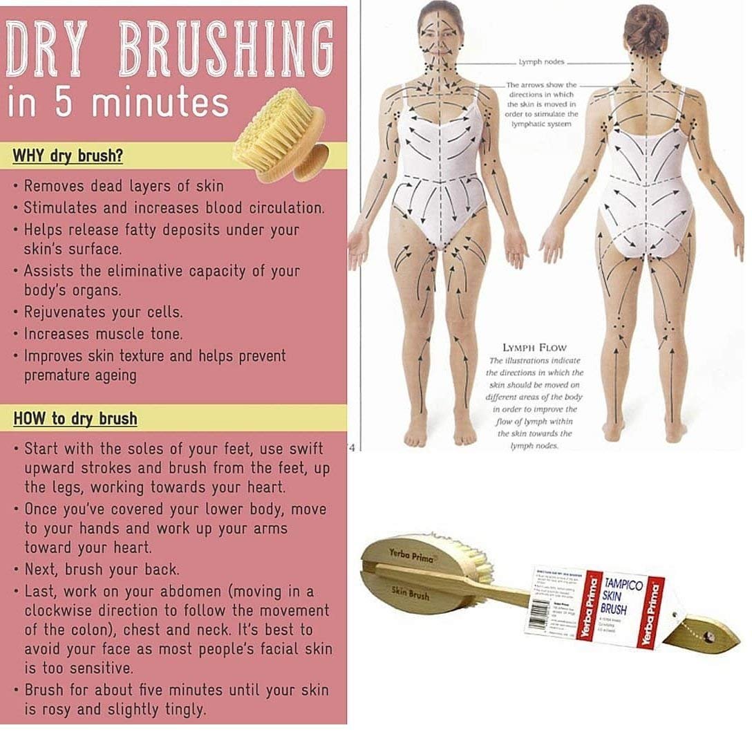 Yerba Prima Tampico Skin Brush for Exfoliation, Dry Brushing, and Blood Circulation with Natural Fiber Bristles and an All-Natural Maple Wood Handle - 1 Brush Avelisse