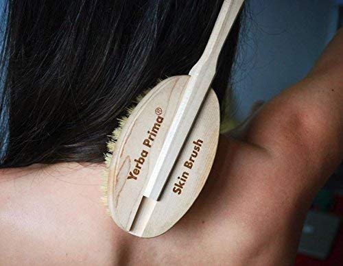 Yerba Prima Tampico Skin Brush for Exfoliation, Dry Brushing, and Blood Circulation with Natural Fiber Bristles and an All-Natural Maple Wood Handle - 1 Brush Avelisse