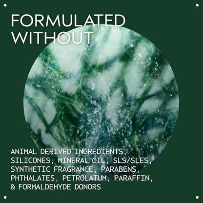 Aveda Botanical Kinetics Exfoliant | Liquid Exfoliant for All Skin Types | Smoothes, Clears, Refines Skin, 5 Fl Oz