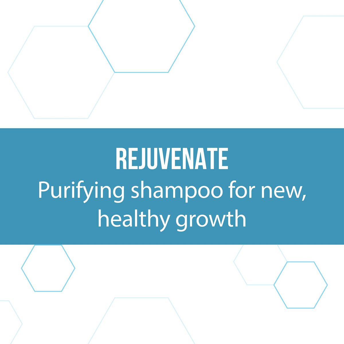 REGENEPURE DR Shampoo for Hair and Scalp – 8 Fl Oz Hair Regrowth Treatment Avelisse