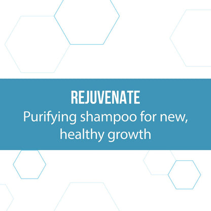 REGENEPURE DR Shampoo for Hair and Scalp – 8 Fl Oz Hair Regrowth Treatment Avelisse