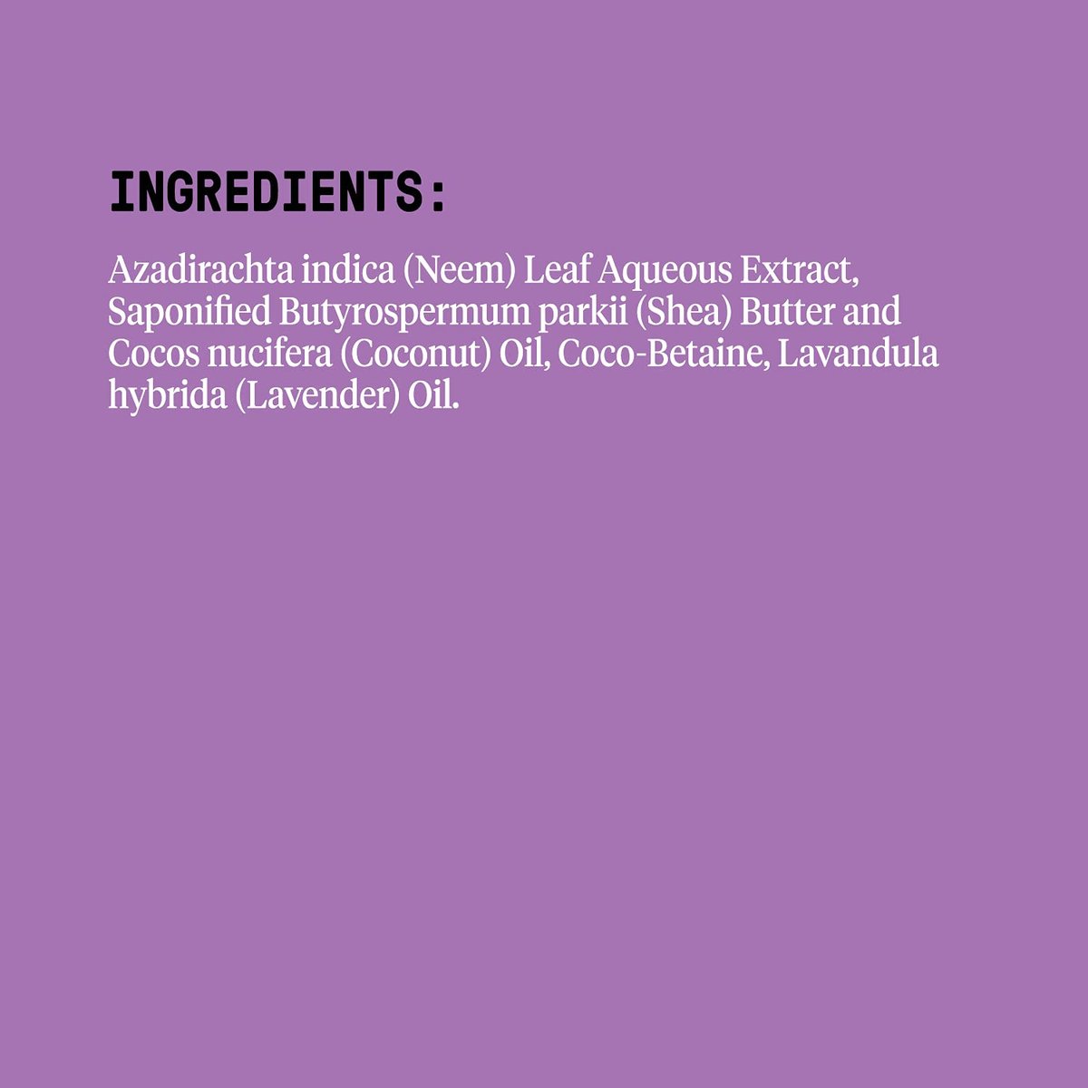 EveryDay Shea Body Wash - Lavender, 32 Fl Oz - Moisturizing & Cleansing with Shea Butter, Neem, Coconut Oil - Fair Trade - görsel 3