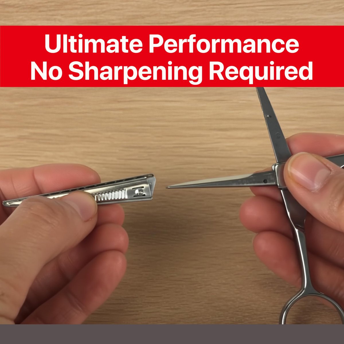 Feather Switch-Blade Haircutting Shears Replacement Blades - Model 50/55 for Professional Stylists & Barbers - Stainless Steel - No-Nip Tip - Made in Japan Avelisse