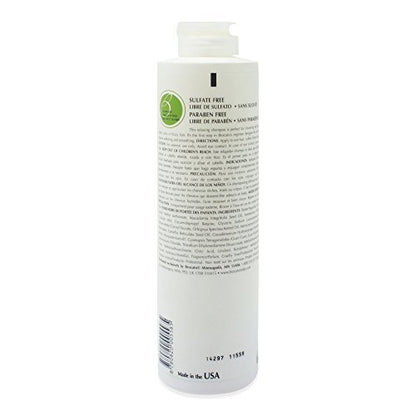 Brocato Curlinterrupted Smoothing & Hydrating Shampoo, 10 oz – Sulfate-Free Moisturizing Shampoo for Curly Hair