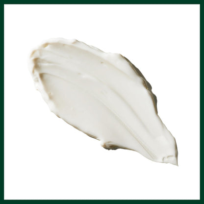 Aveda Light Elements Texturizing Creme - Light Hold Hair Styling Wax for All Hair Types, 2.5 fl oz Avelisse