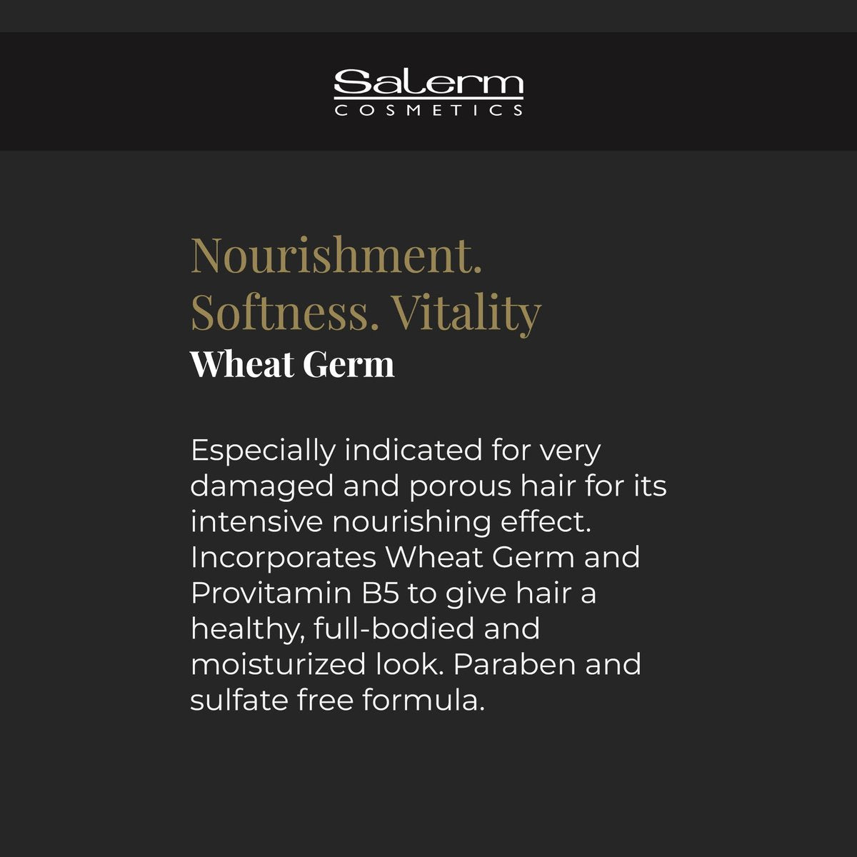 SALERM Nourishing Hair Mask 1000 ml – Deep Hydration for Dry & Damaged Hair with Wheat Germ Avelisse