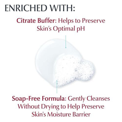 Eucerin Advanced Cleansing Body & Face Cleanser - Fragrance & Soap Free for Dry, Sensitive Skin - 16.9 fl. oz Bottle Avelisse