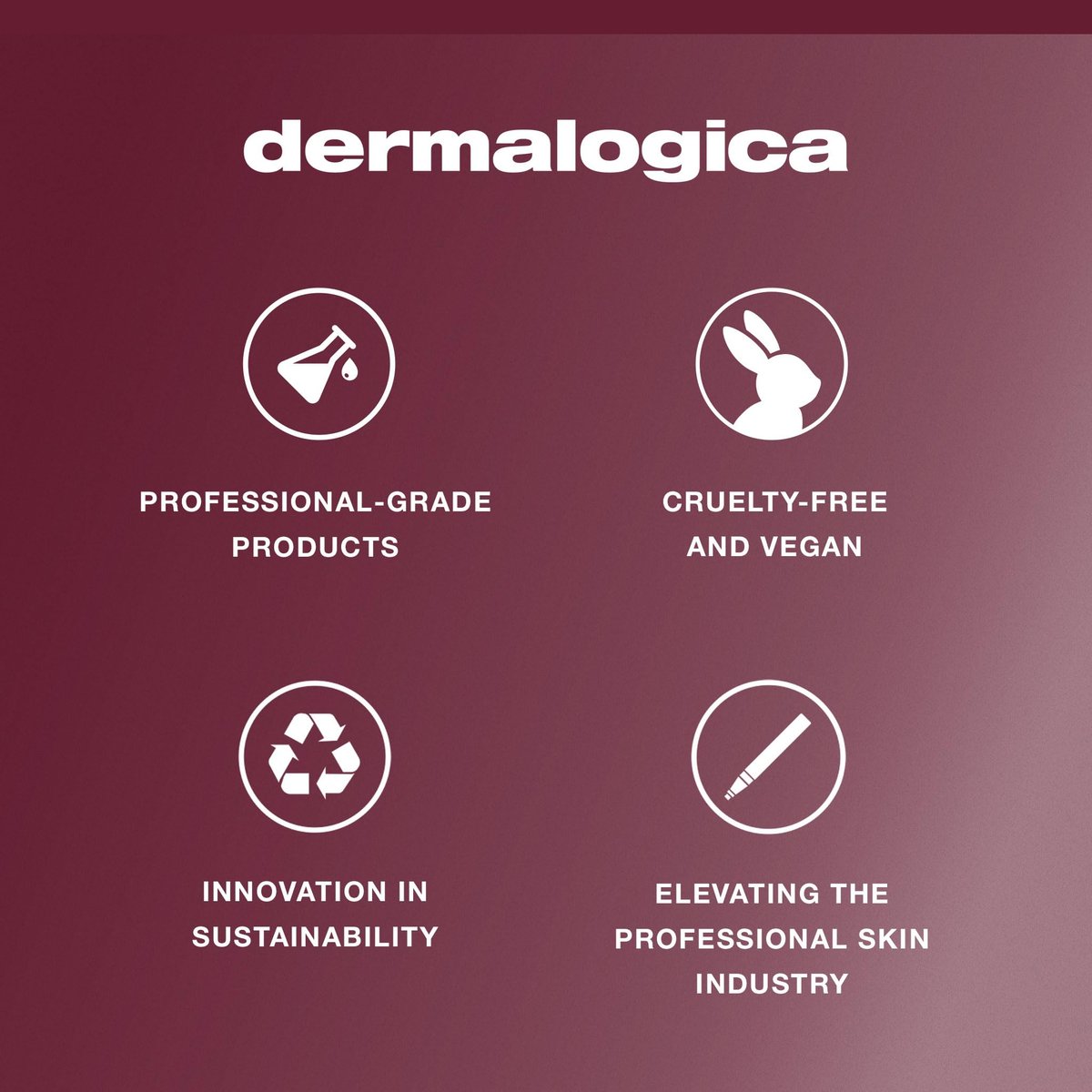 Dermalogica Age Reversal Eye Complex – Anti-Aging Retinol Eye Cream for Wrinkles & Dark Circles (0.5 Fl Oz) Avelisse