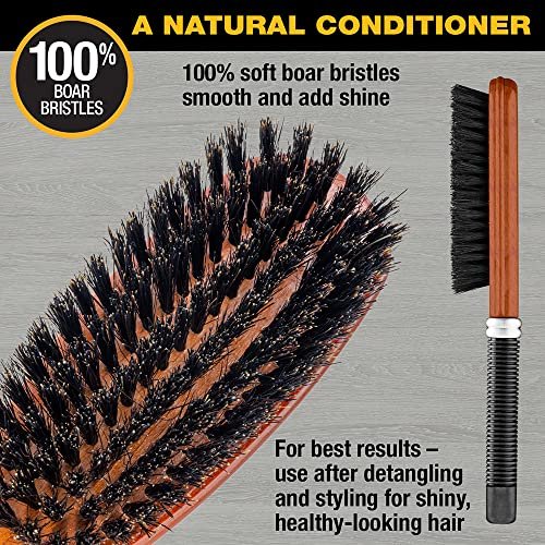 Conair All Purpose Boar Bristle Hairbrush - Wooden Hair Brush for Men and Women - Brown Avelisse