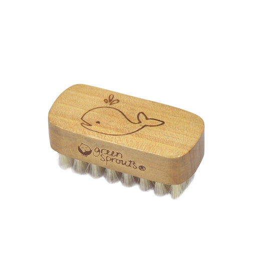 Green Sprouts Nail Brush – Gentle Cleaning Brush for Baby & Toddler Nails