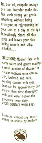 Trader Joe's Spa Face Wash with Tea Tree Oil - 8.5 fl oz (2-Pack) - Gentle Daily Cleanser for Clear, Healthy-Looking Skin Avelisse
