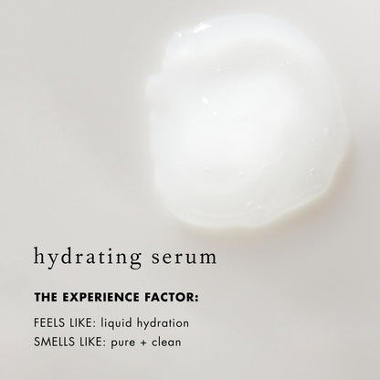 Bioelements Moisture x10 Super-Hydrating Hyaluronic Acid Facial Serum for Dry & Combination Skin - 1 fl oz Avelisse