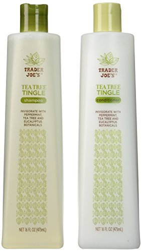 Trader Joe's Tea Tree Tingle Shampoo & Conditioner Set - 2 x 16 oz Bottles Avelisse