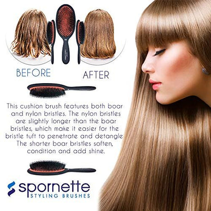 Spornette Boar Bristle Hair Brush - Large Luxury Cushion Oval Vented Brush for Styling & Smoothing - Nylon & Boar Bristles Reduce Breakage for All Hair Types Avelisse