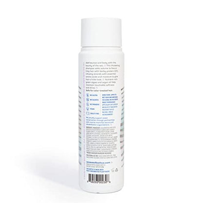 Seaweed Bath Co. Volumize Shampoo, Lavender Scent - 12 oz - Sustainably Harvested Seaweed & Green Algae for Normal to Fine Hair Avelisse