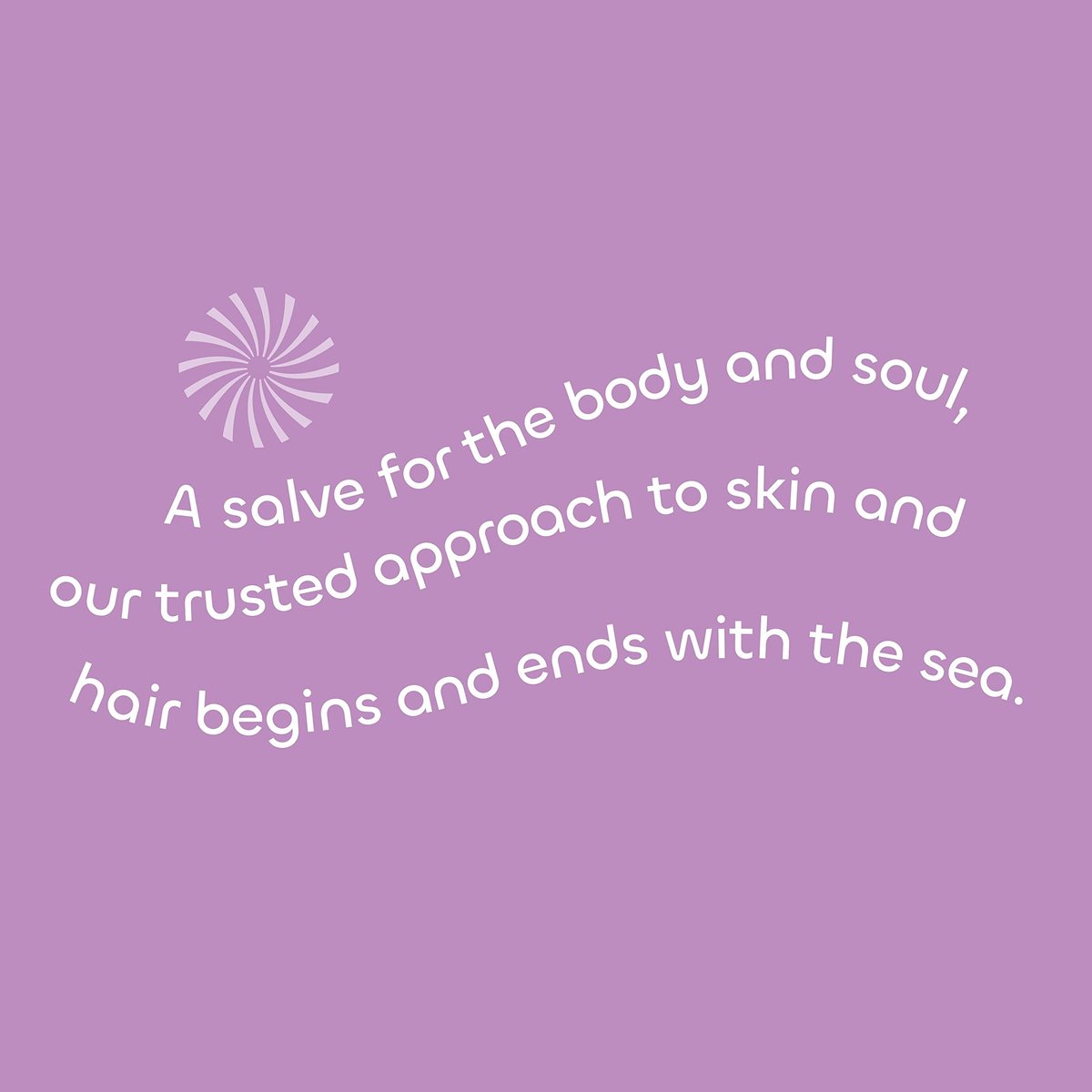 Seaweed Bath Co. Volumize Shampoo, Lavender Scent - 12 oz - Sustainably Harvested Seaweed & Green Algae for Normal to Fine Hair Avelisse